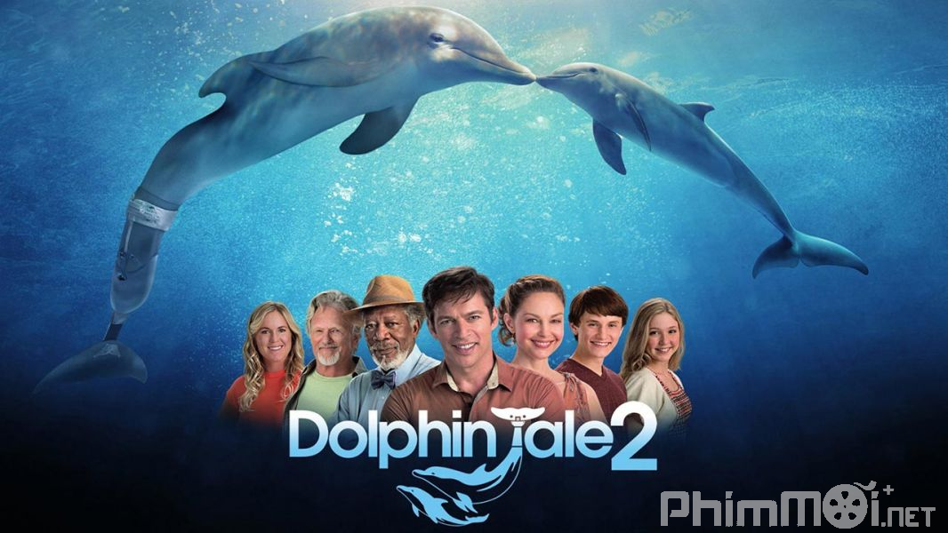 Câu Chuyện Cá Heo 2 - Dolphin Tale 2