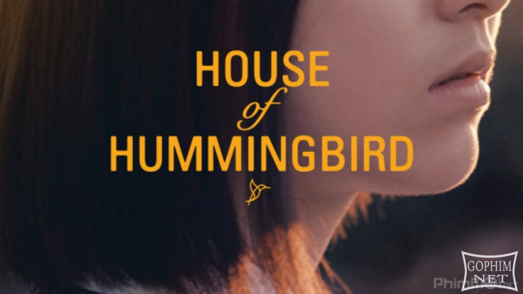 Tổ Của Chim Ruồi - House of Hummingbird